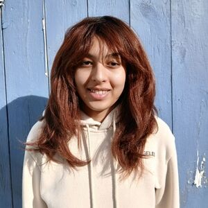 Fashion Wig Brown/red color